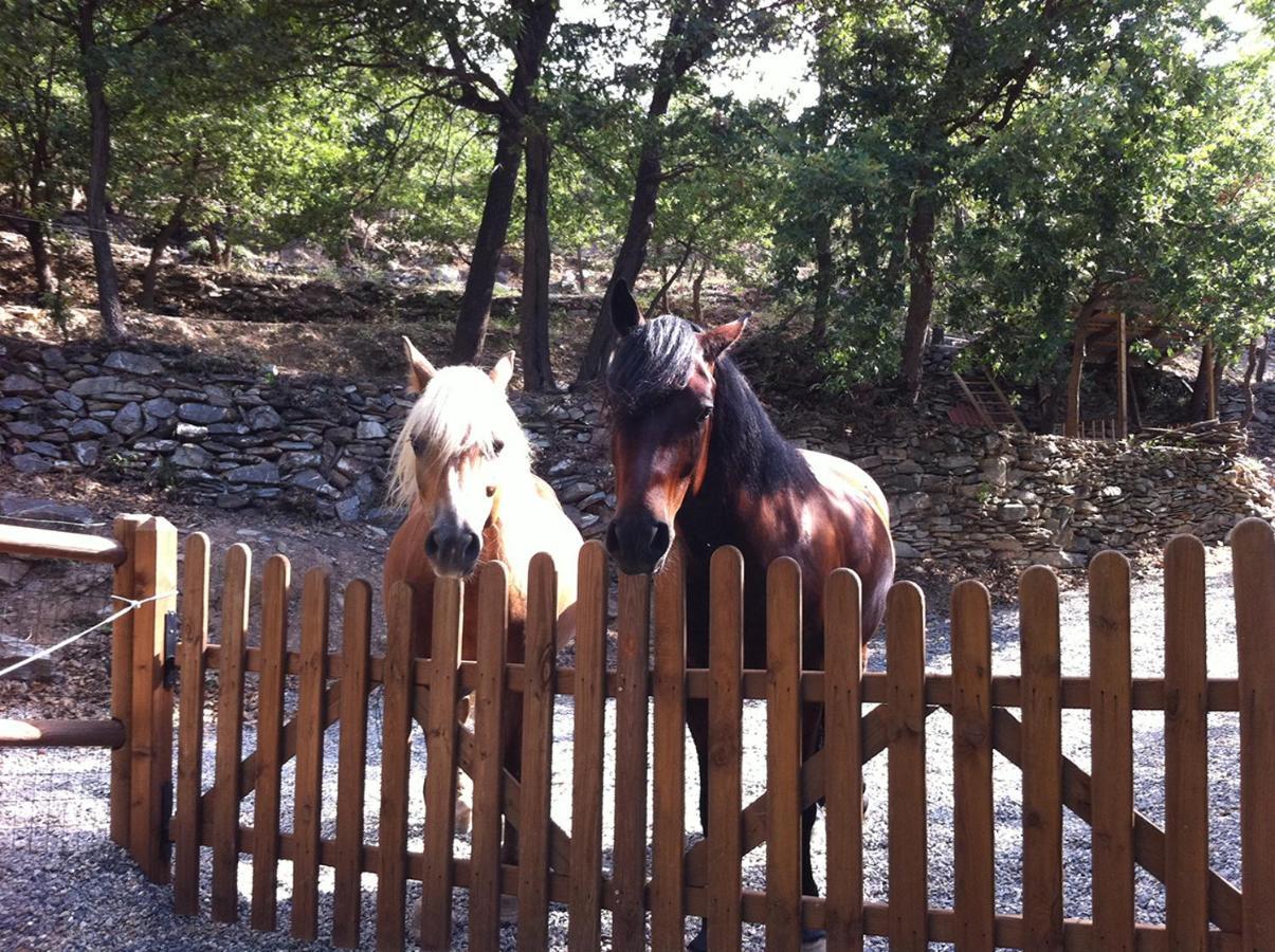 הוילה Cisano sul Neva Gli Angeli Agriturismo מראה חיצוני תמונה